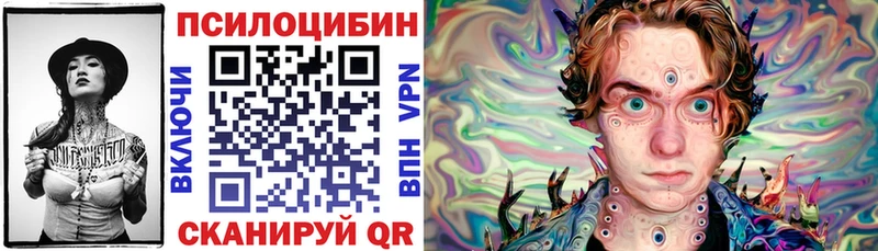 KRAKEN как войти  Великий Новгород  Псилоцибиновые грибы Magic Shrooms 